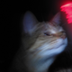Image for article titled Shooting Challenge: Lasers Gallery 2